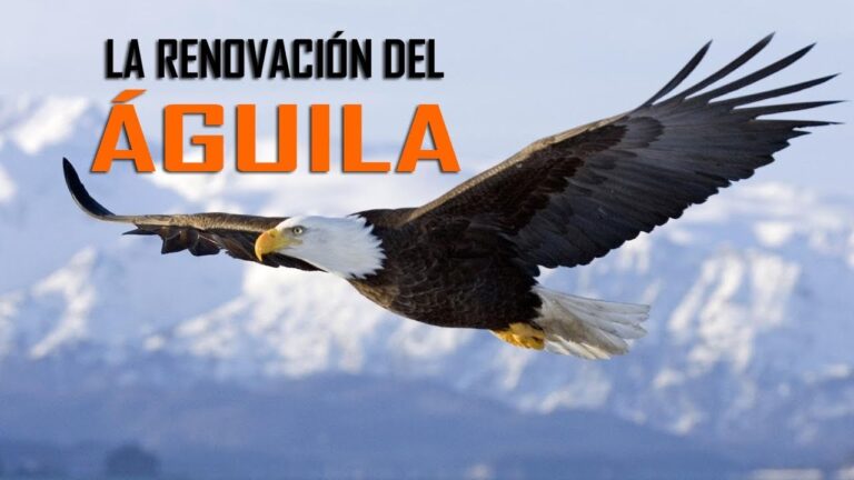 Historia De La Renovacion Del Aguila